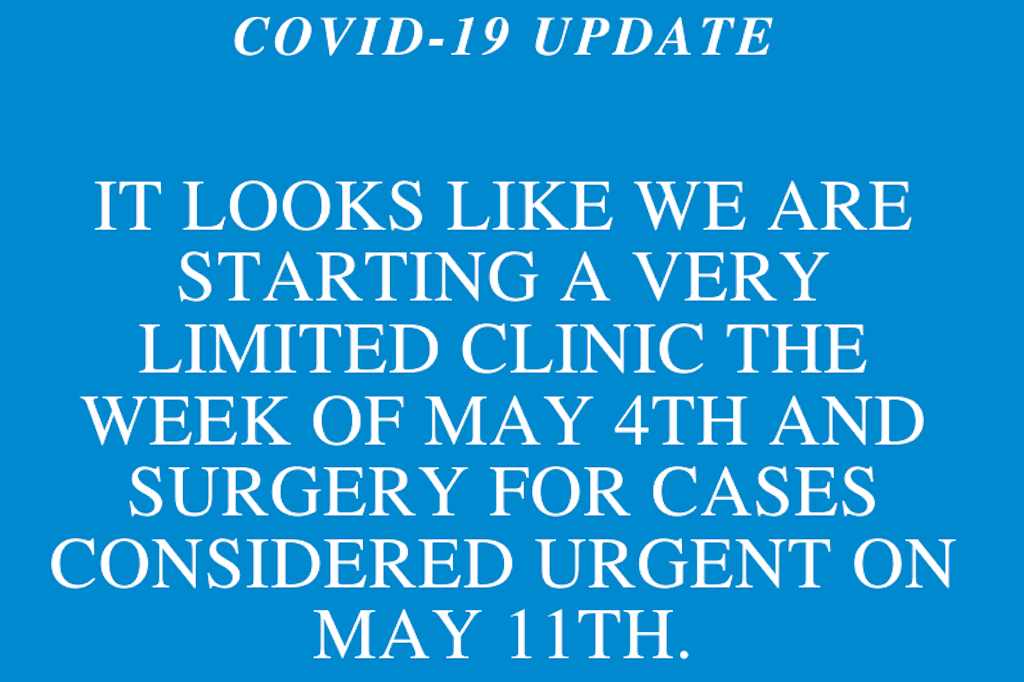 COVID-19 Update