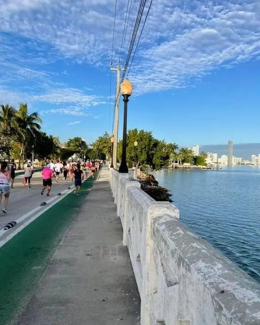 Great to See Miami Marathon Runners Back in Action